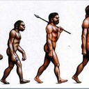 L'evoluzione