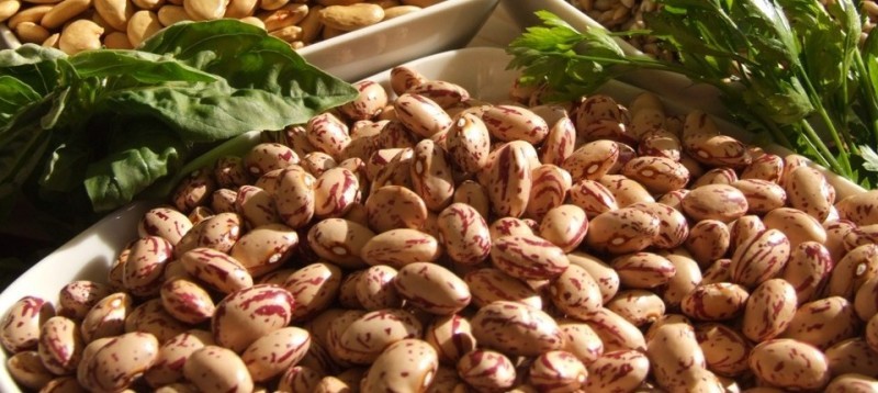 Fagioli borlotti Lamon