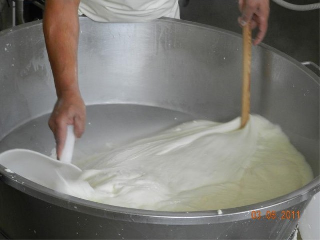 Ponte Reale, produzione mozzarelle