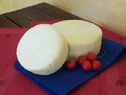 Caciotta di bufala