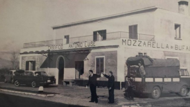 Caseificio Luise, dal 1950 mozzarella di bufala