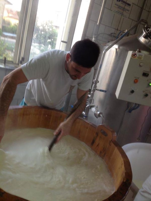 La Mozzarella D.O.C.