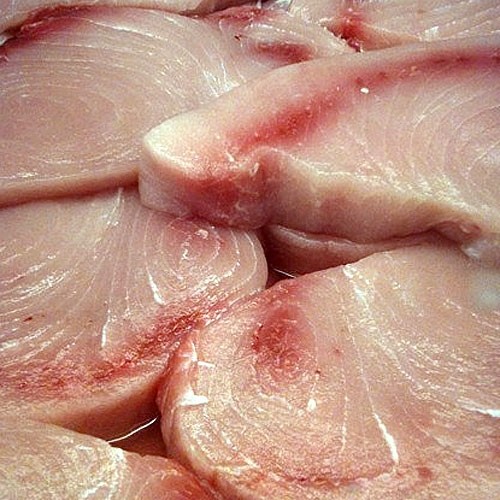 Pesce spada