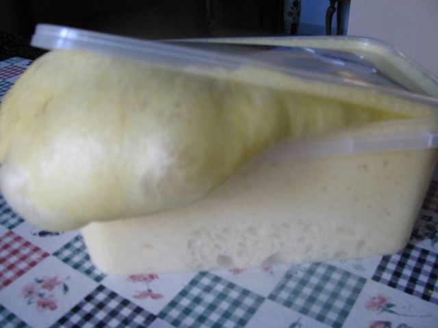 Primo impasto